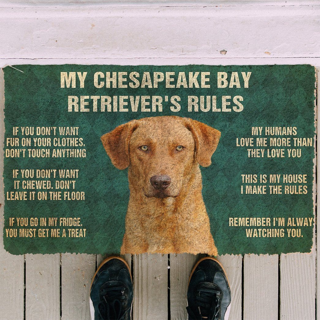 Noodever 3D Chesapeake Bay Retriever's Rules Doormat