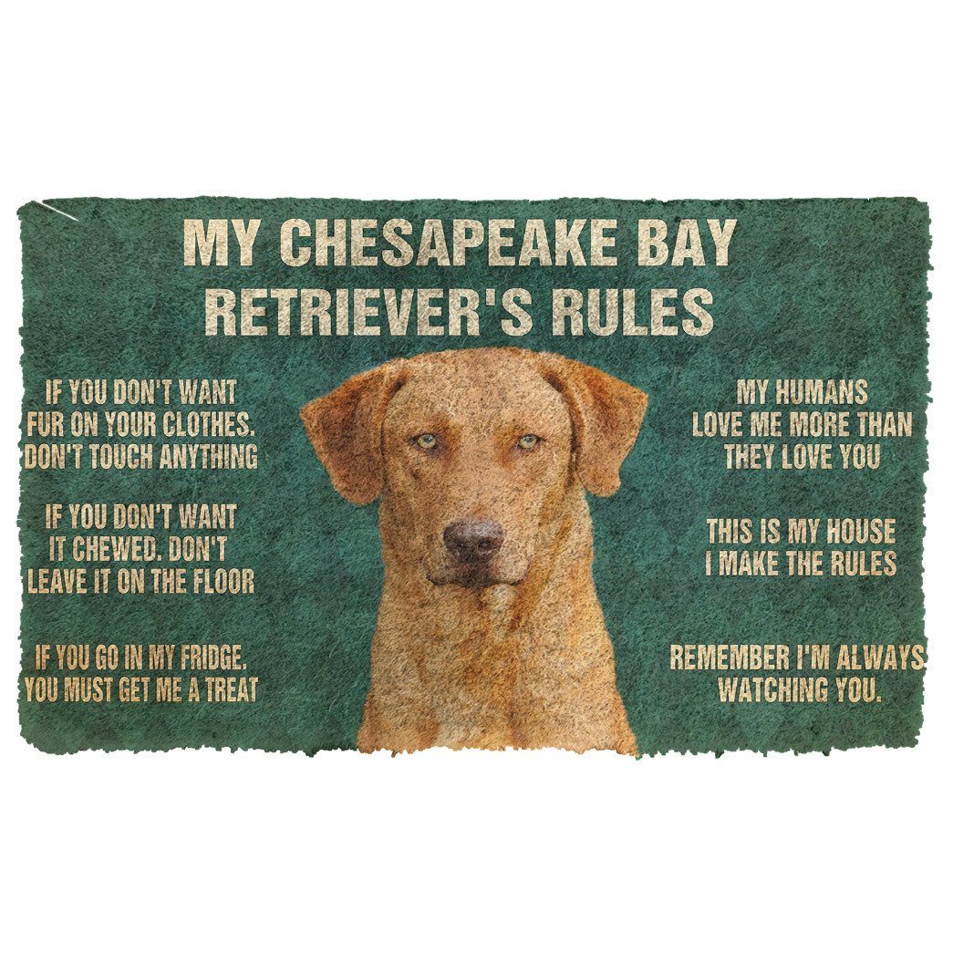 Noodever 3D Chesapeake Bay Retriever's Rules Doormat