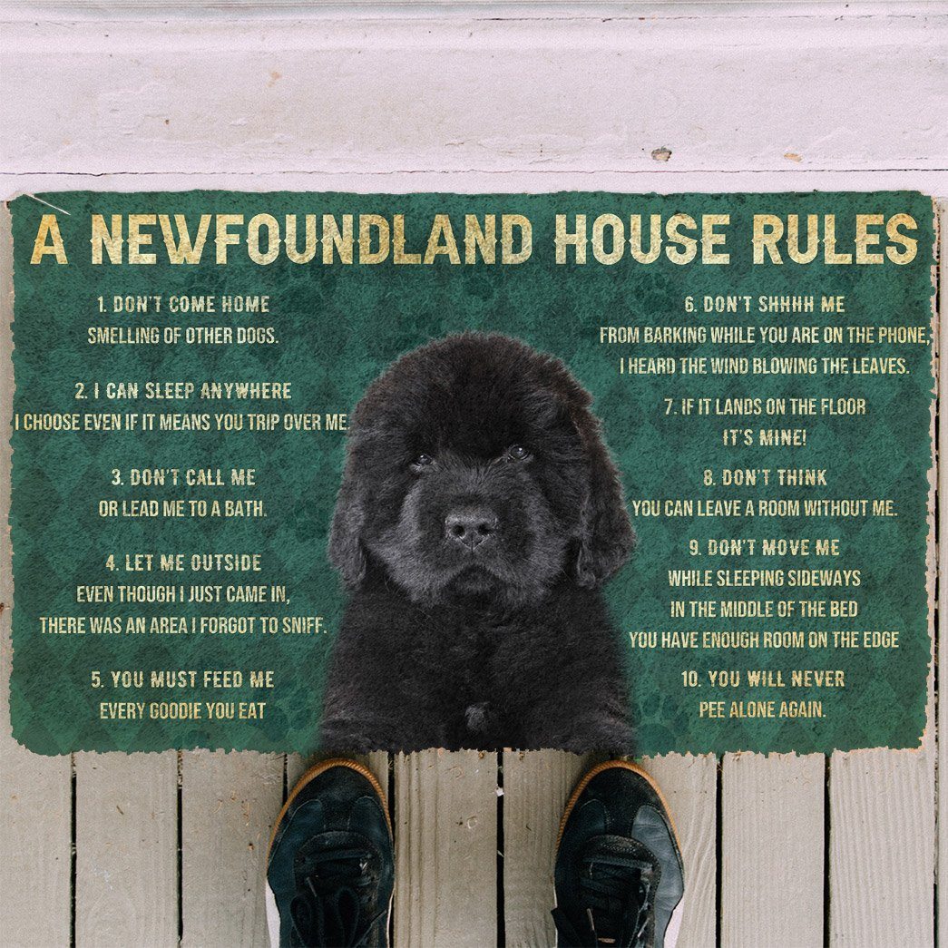 Noodever 3D House Rules Newfoundland Dog Doormat