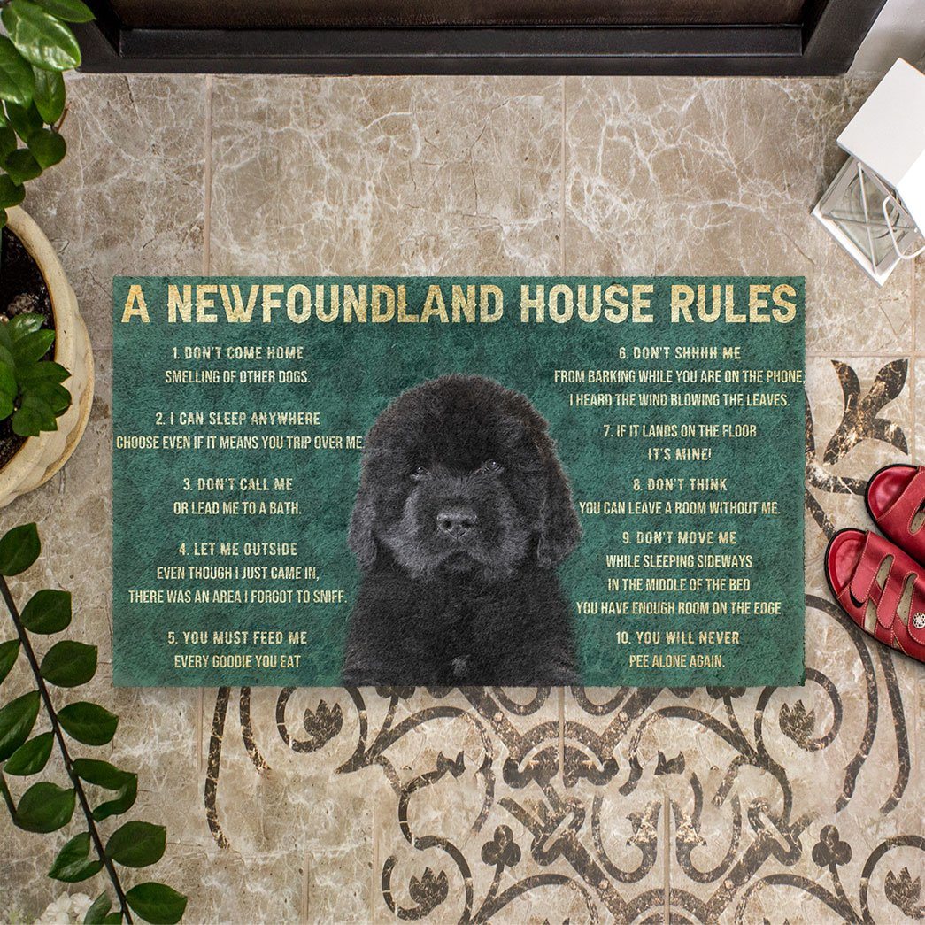 Noodever 3D House Rules Newfoundland Dog Doormat