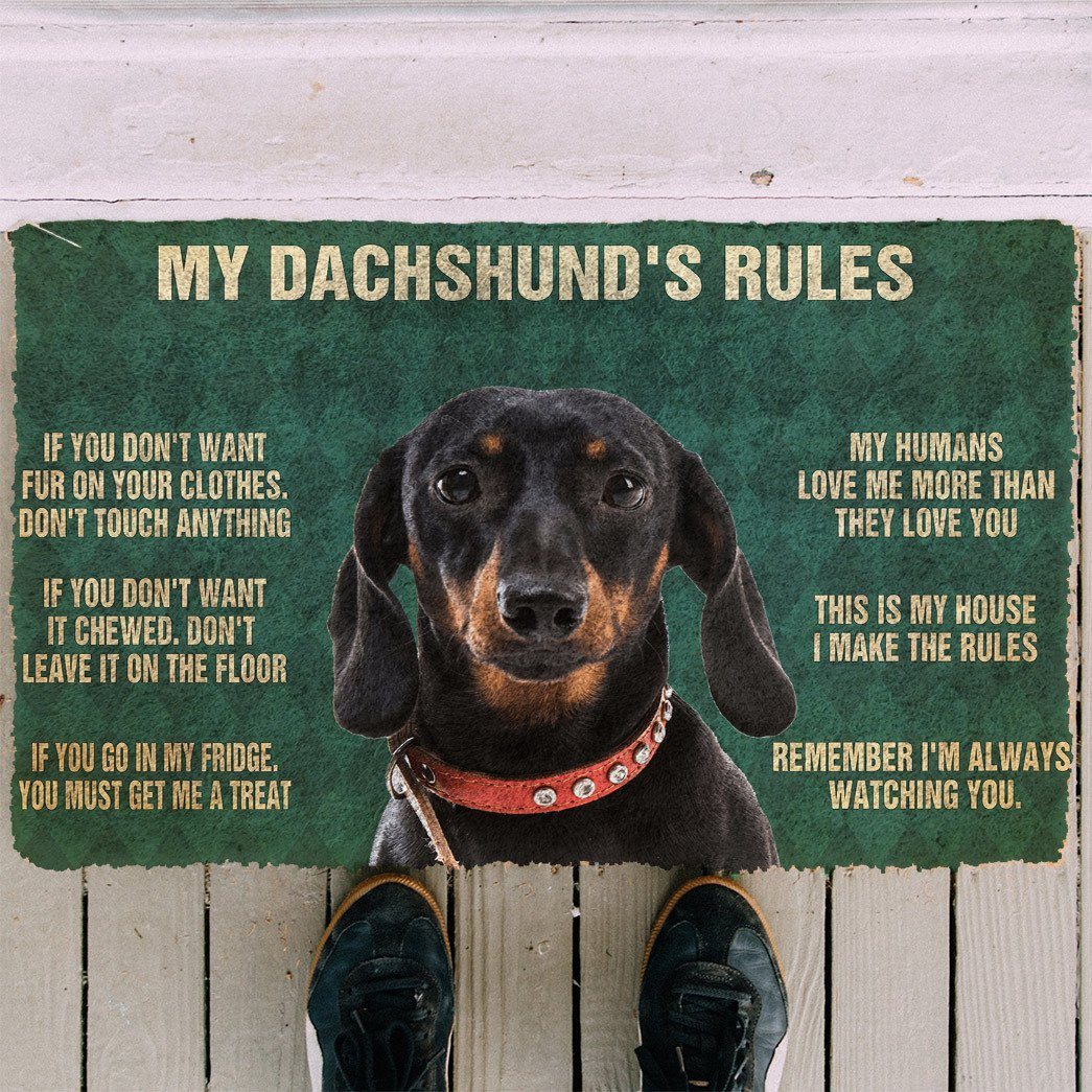 Noodever 3D My Dachshund's Rules Doormat
