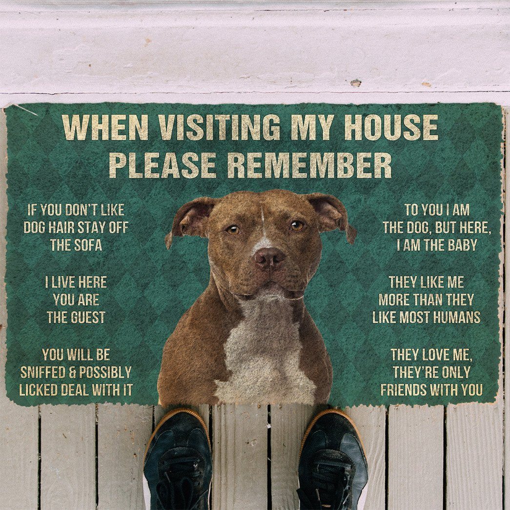 Noodever  3D Please Remember American Staffordshire Terrier Dogs House Rules Doormat