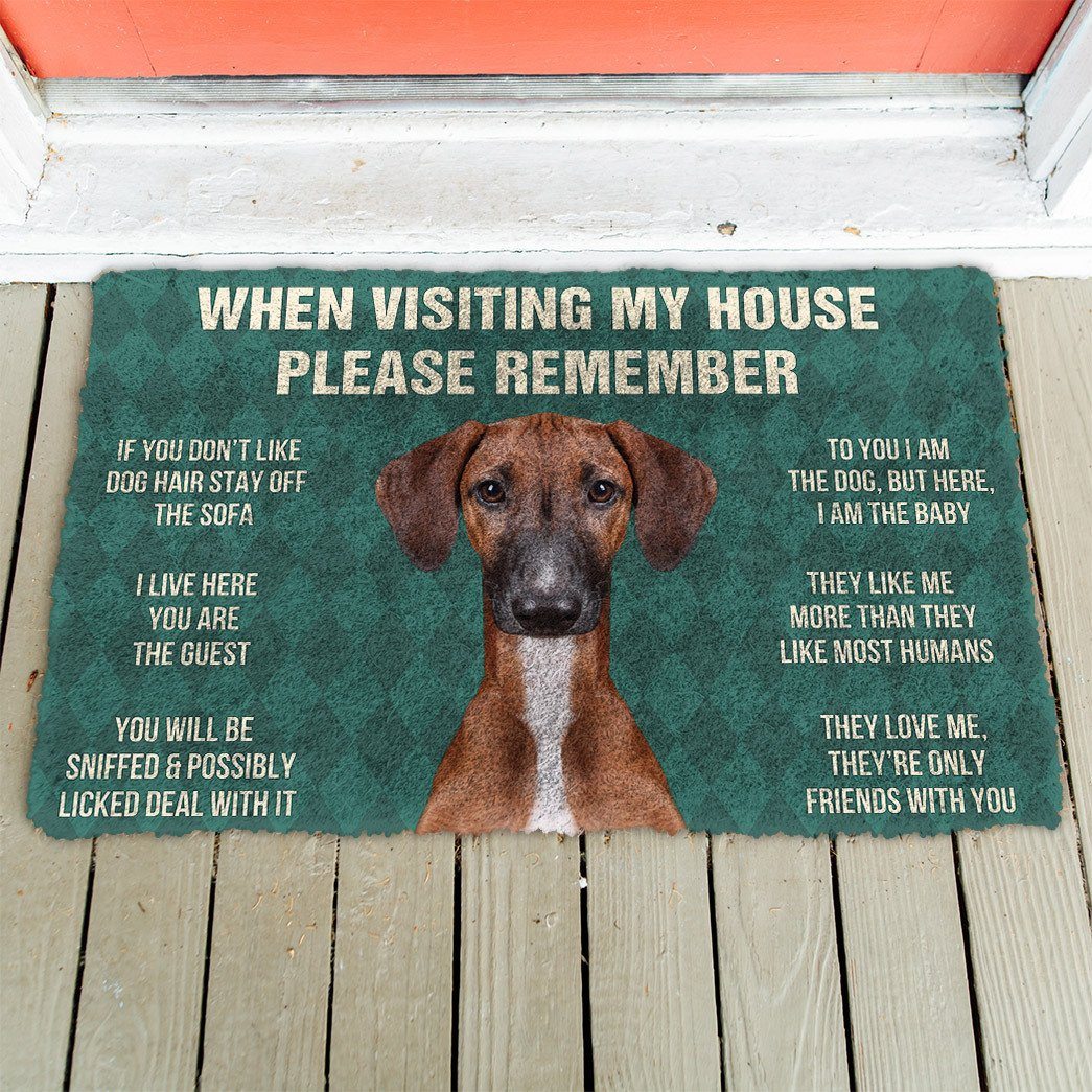 Noodever  3D Please Remember Azawakh Dogs House Rules Doormat