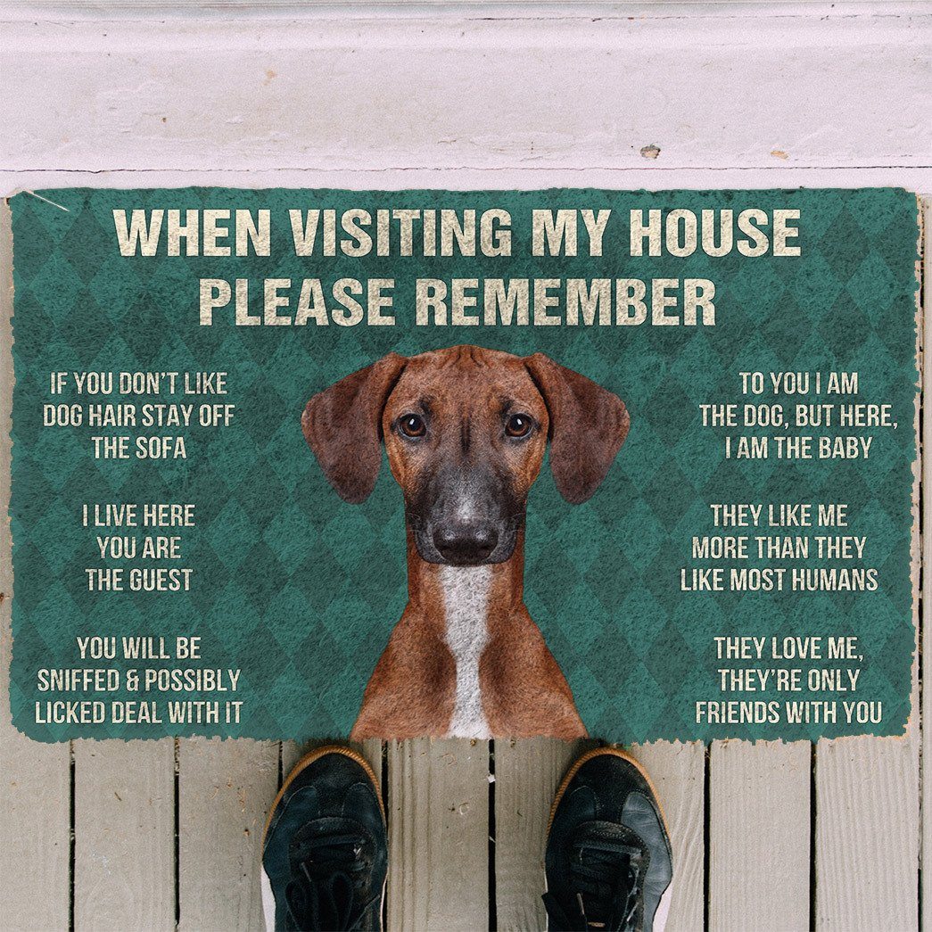 Noodever  3D Please Remember Azawakh Dogs House Rules Doormat