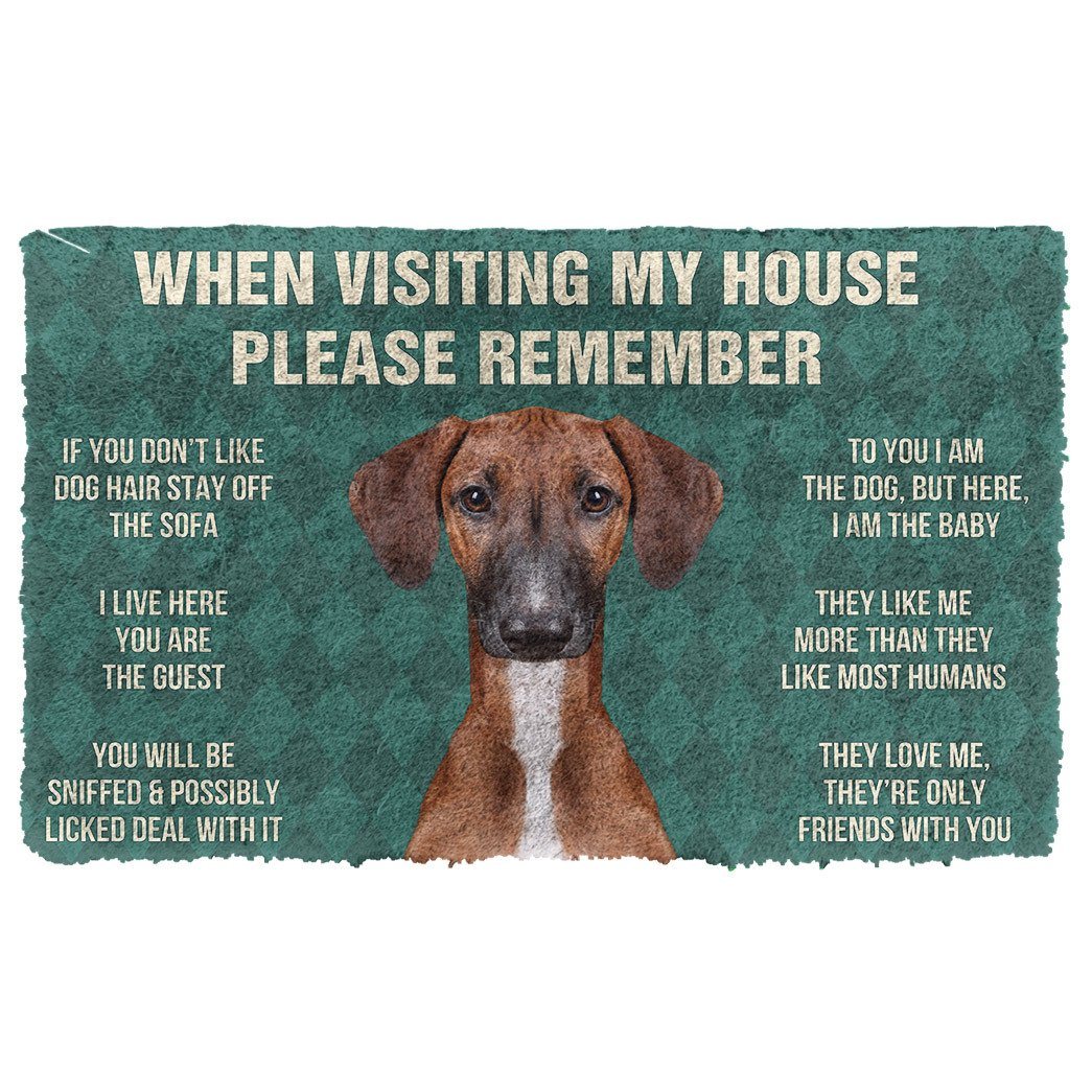 Noodever  3D Please Remember Azawakh Dogs House Rules Doormat