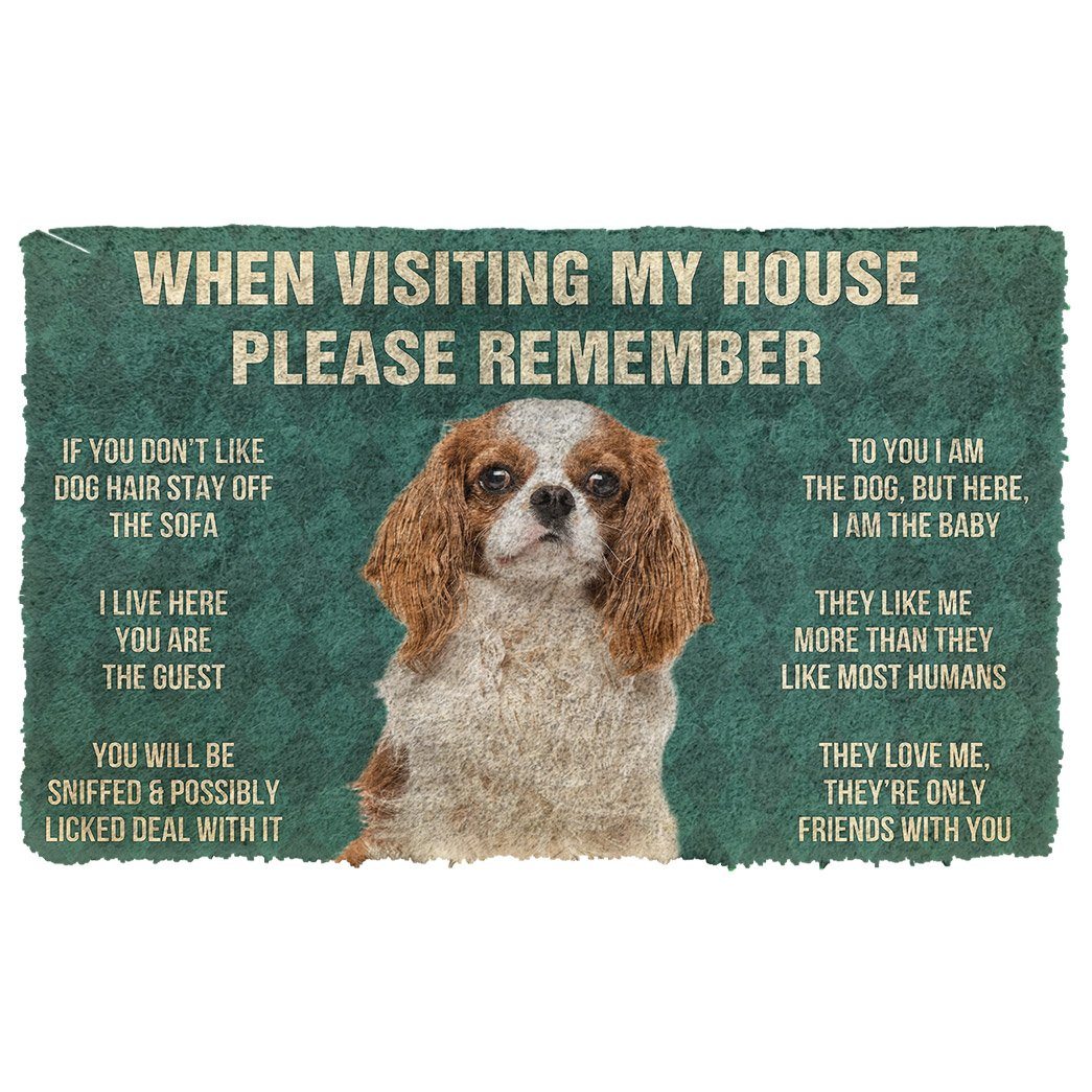 Noodever 3D Please Remember Cavalier King Charles Spaniel Dogs House Rules Doormat