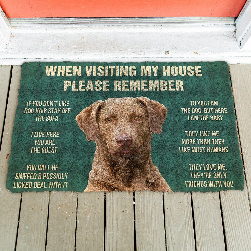Noodever 3D Please Remember Chesapeake Bay Retriever Dogs House Rules Doormat
