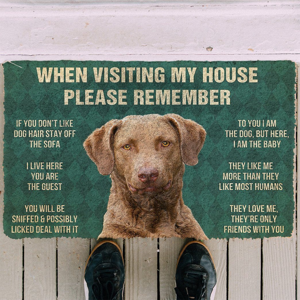 Noodever 3D Please Remember Chesapeake Bay Retriever Dogs House Rules Doormat