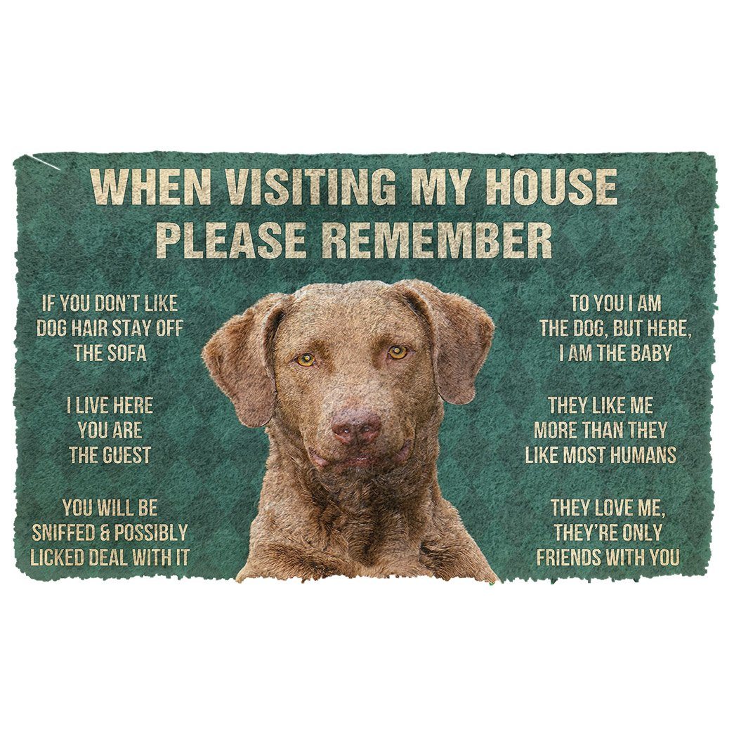 Noodever 3D Please Remember Chesapeake Bay Retriever Dogs House Rules Doormat