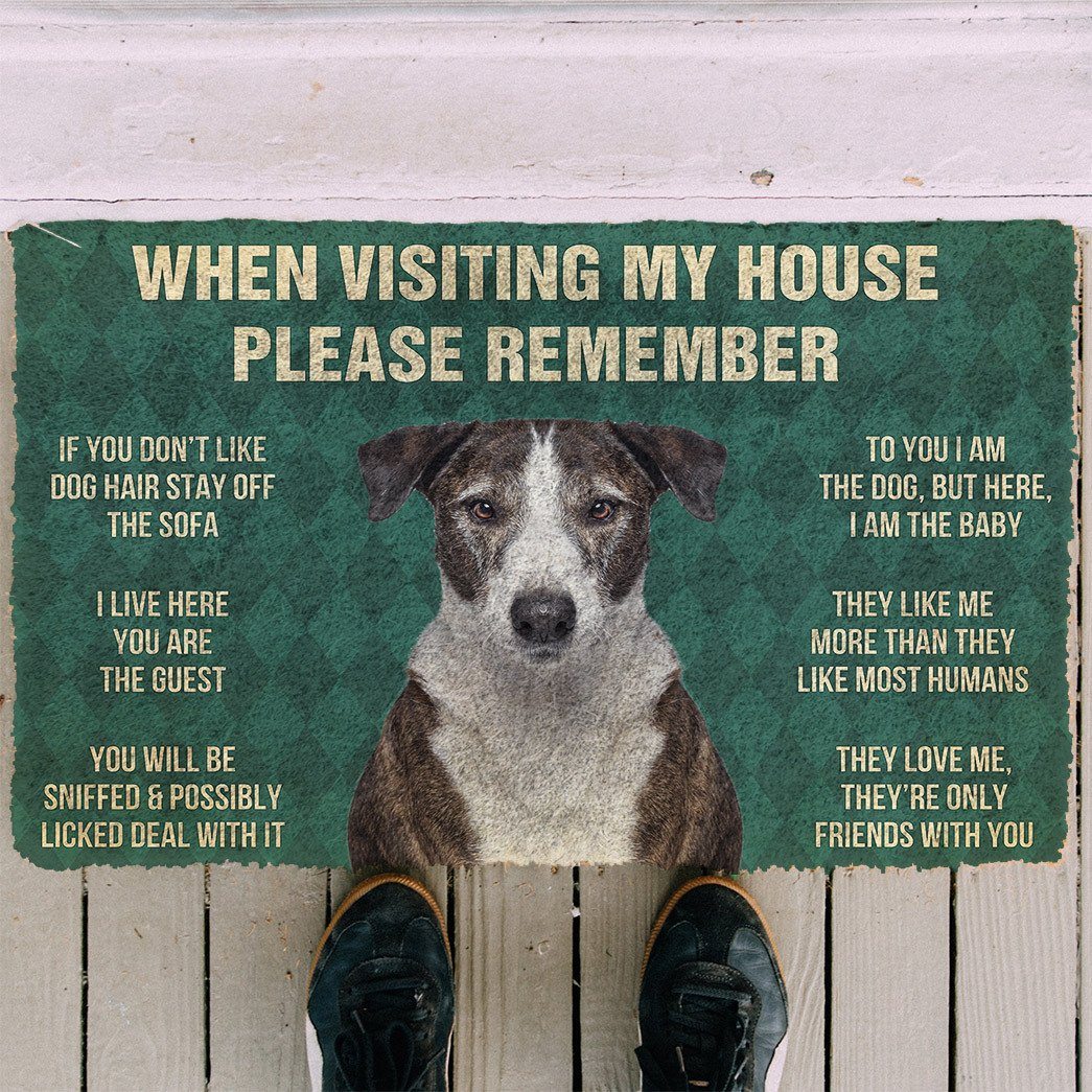 Noodever  3D Please Remember Ibizan Hound Dogs House Rules Doormat