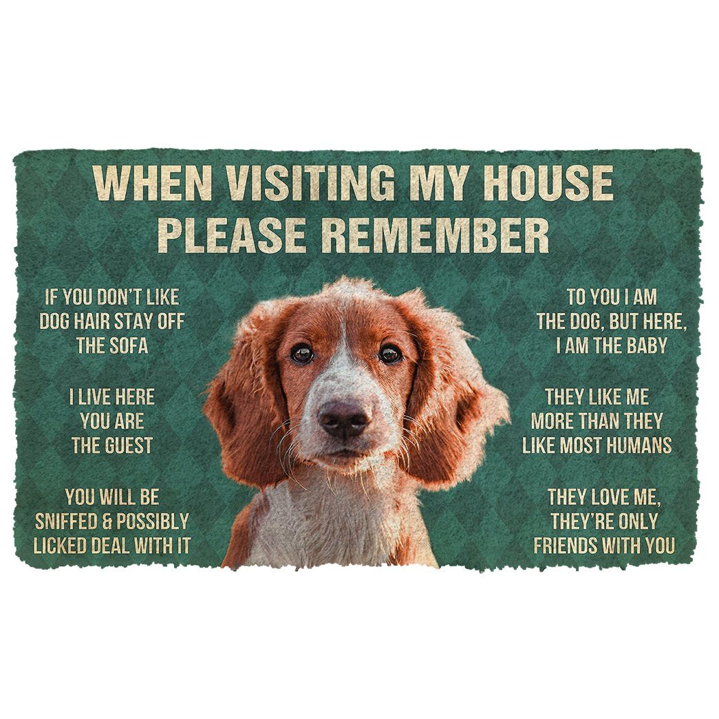Noodever  3D Please Remember Irish Red and White Setter Dogs House Rules Doormat