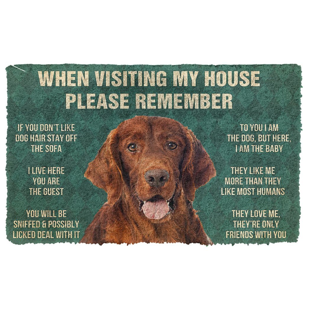 Noodever 3D Please Remember Irish Setter House Rules Doormat