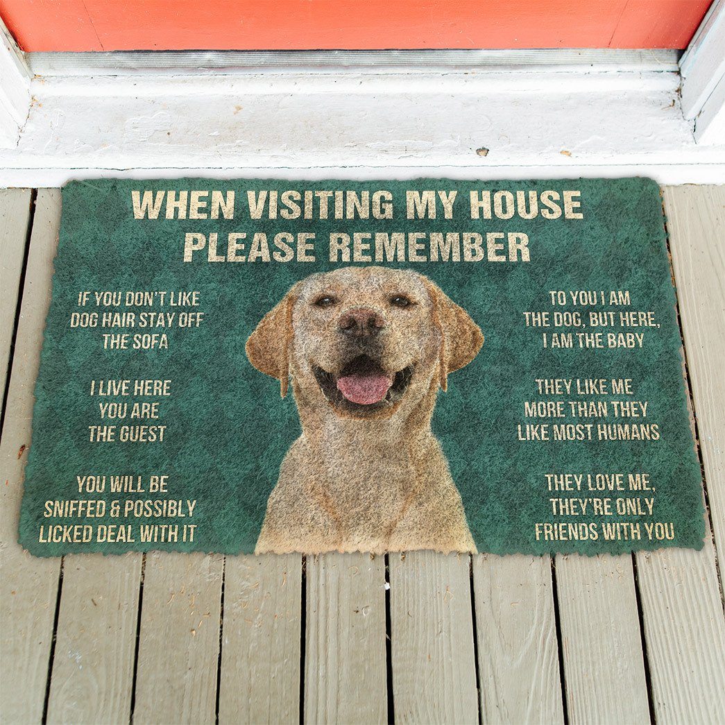 Noodever  3D Please Remember Labrador Retriever Dog's House Rules Doormat