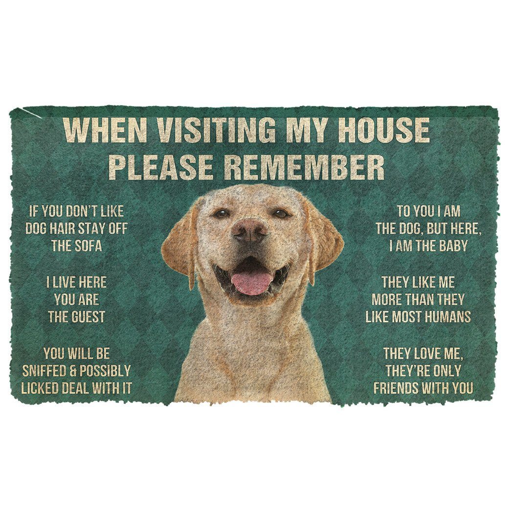 Noodever  3D Please Remember Labrador Retriever Dog's House Rules Doormat