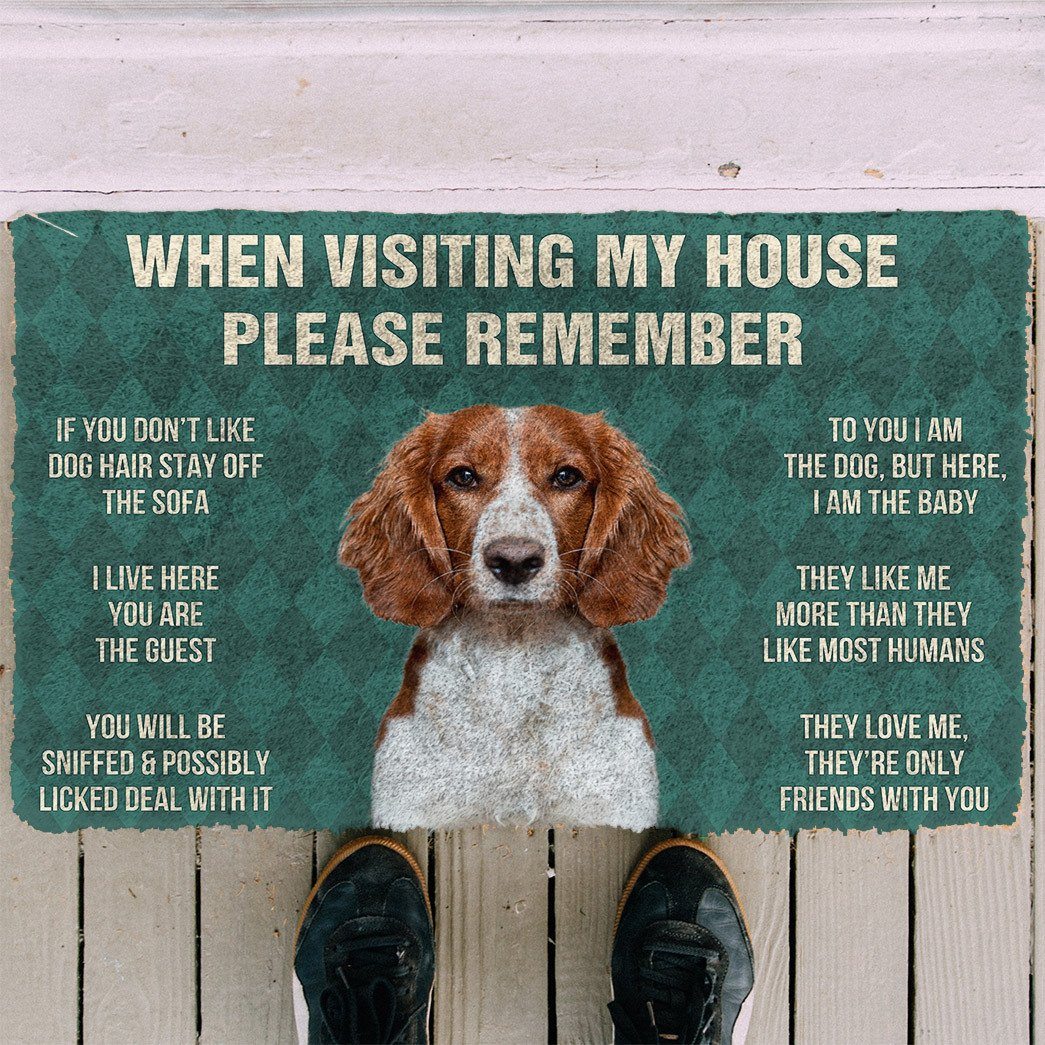 Noodever  3D Please Remember Welsh Springer Spaniel Dogs House Rules Doormat