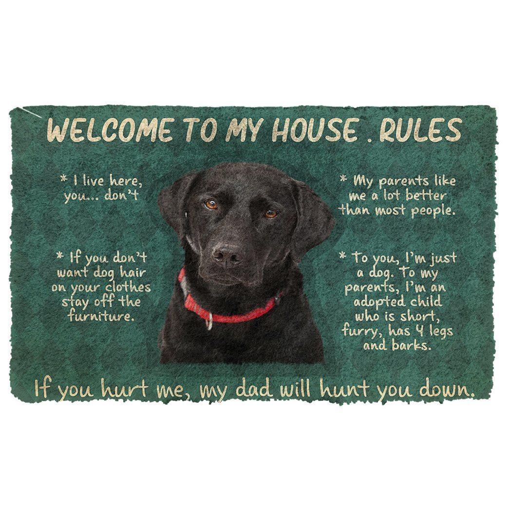 Noodever 3D Labrador Retriever Welcome To My House Rules Doormat
