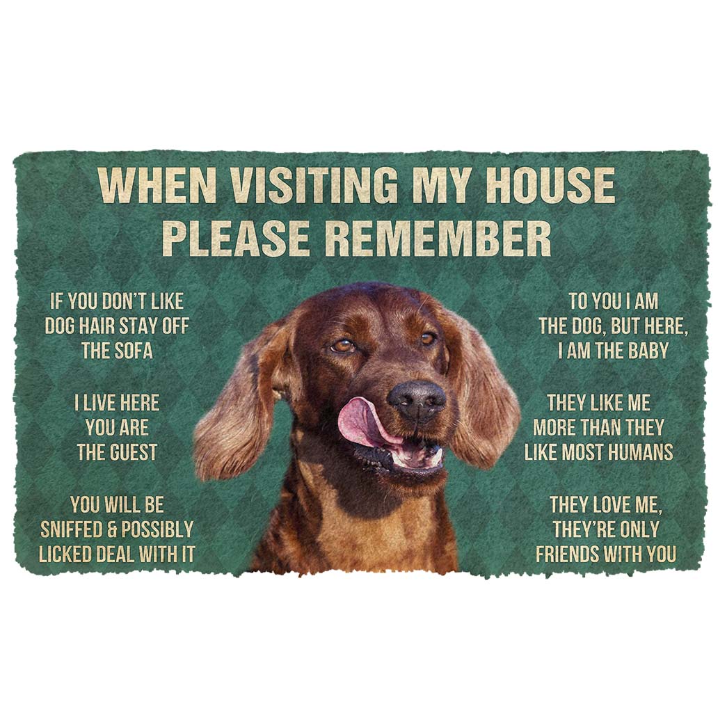 Noodever 3D Please Remember Irish Setters House Rule Doormat