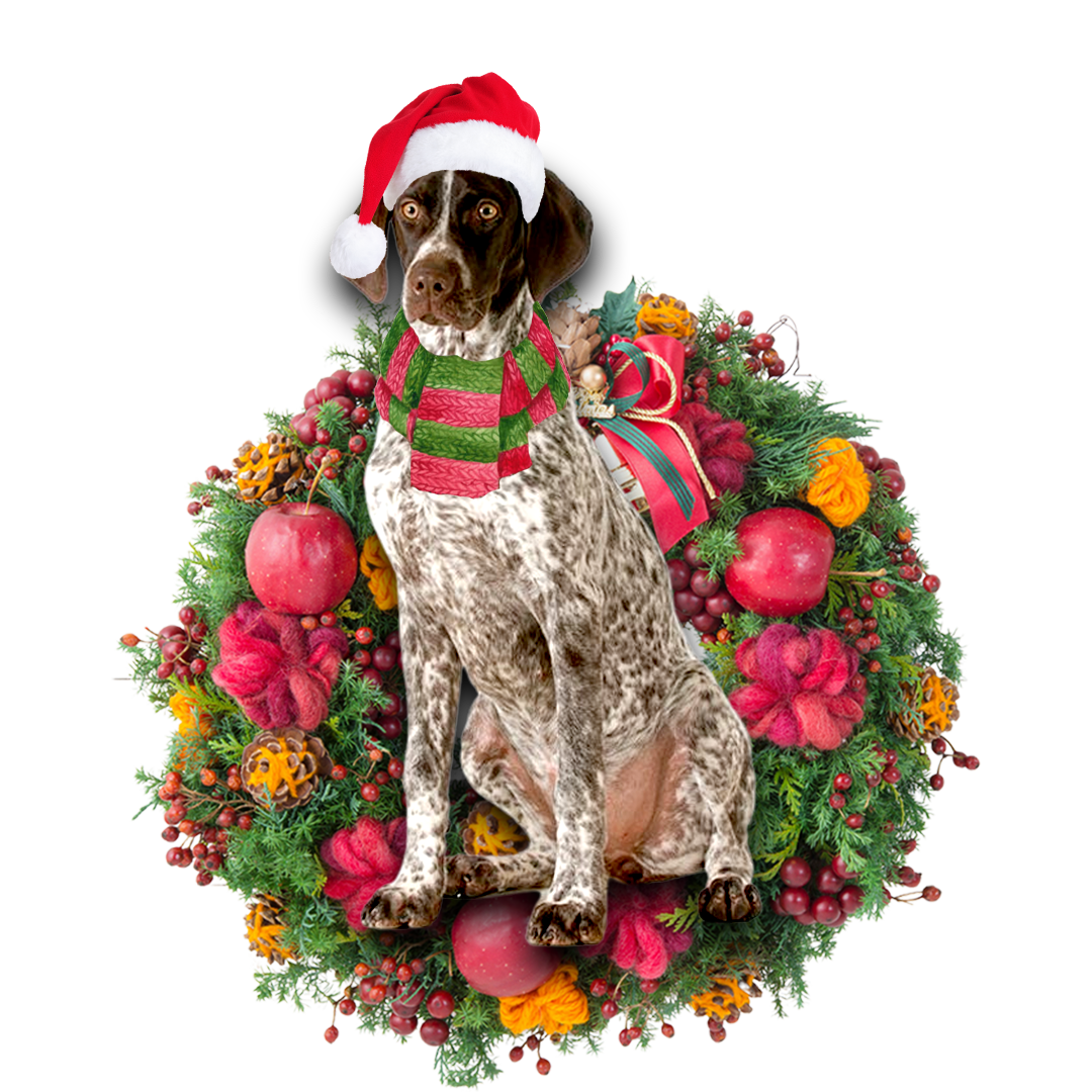 German Shorthaired Pointer Christmas Ornament