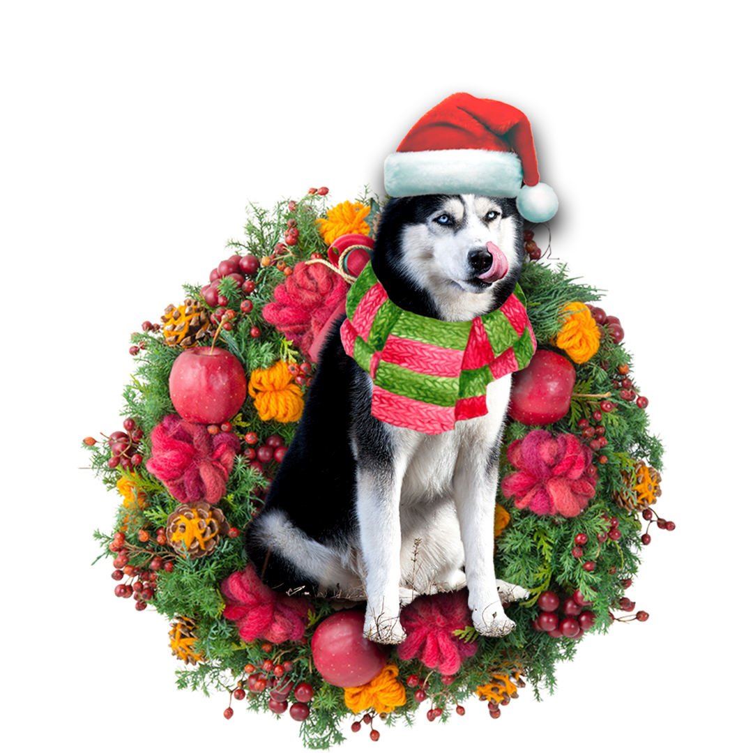 Husky Christmas Ornament