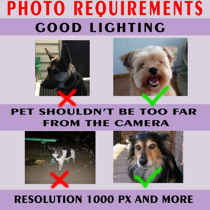 Personalized Dog And American Flag Independent Day Car Sticker Decal