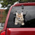Car Sticker Cats Lover (60)