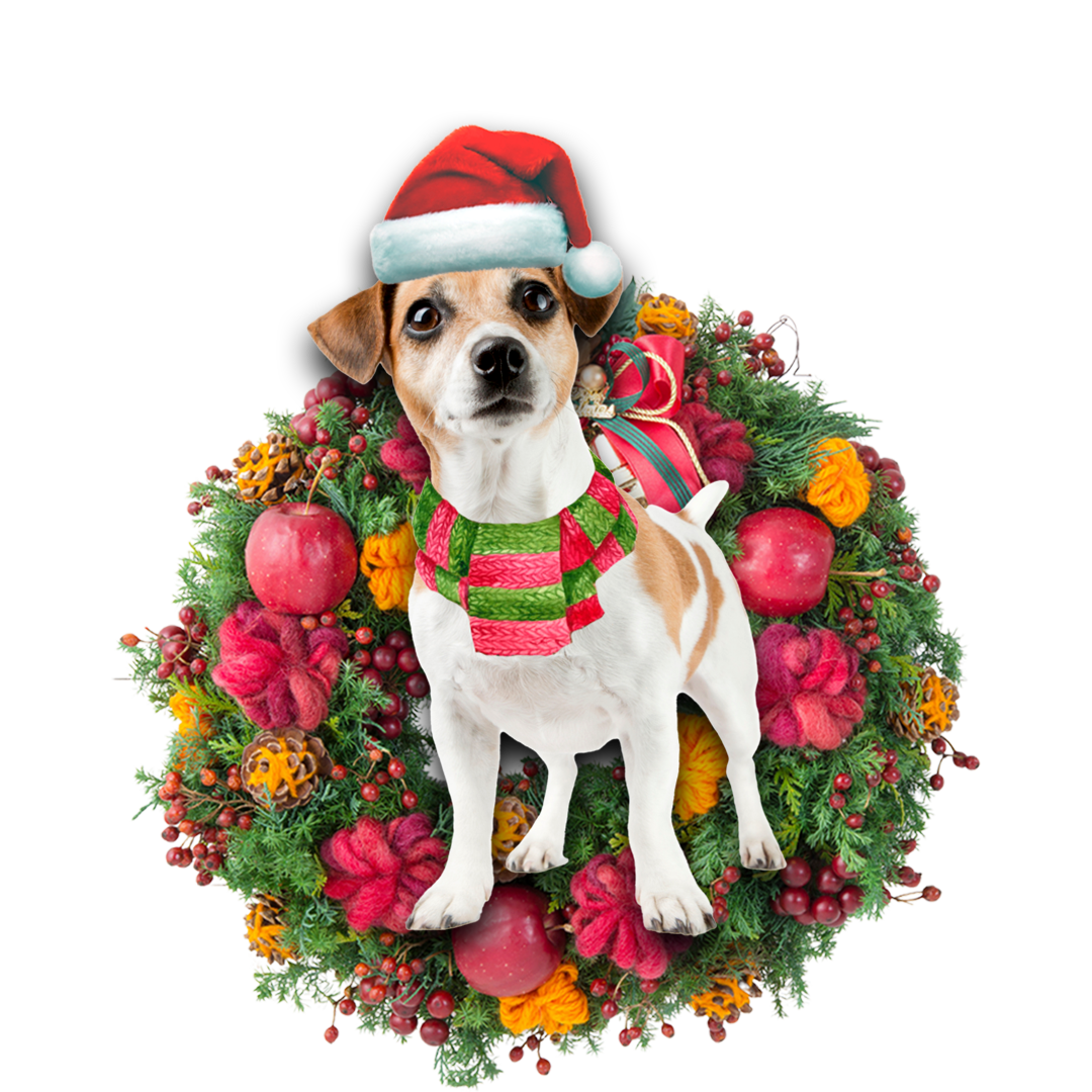 Jack Russell Terrier Christmas Ornament