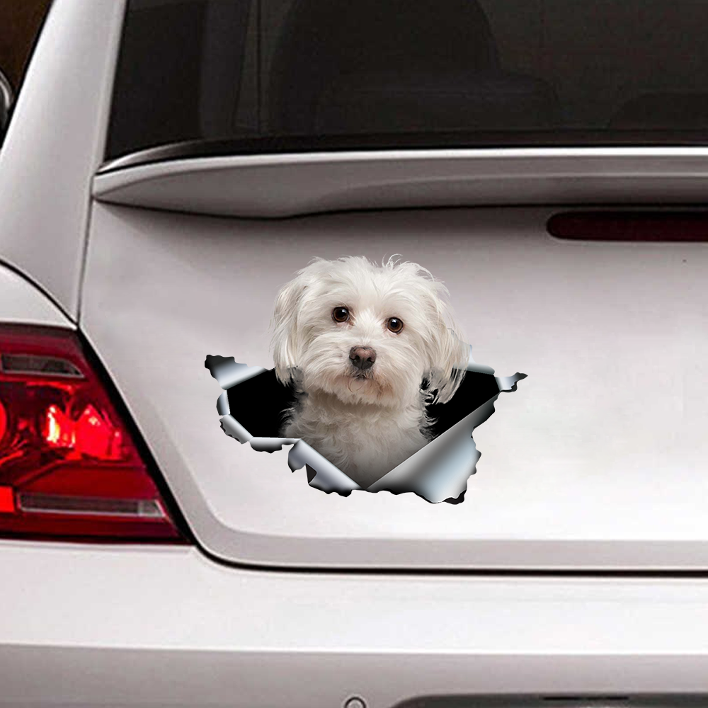 Shopping Hund Crack Car Aufkleber Lustiges Tier Wallpaper Fenster Aufkleber  Haustier Aufkleber - Stil C in China