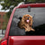 Cavalier King Charles Spaniel Crack Car Sticker, Toilet Sticker, Fridge Sticker 9