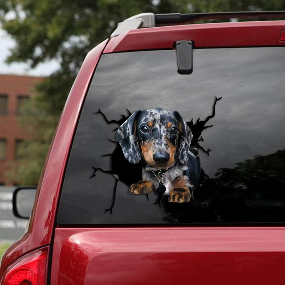 Dachshund Crack Car Sticker, Toilet Sticker, Fridge Sticker (57)