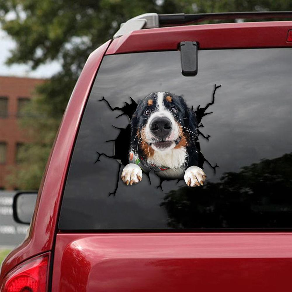 Bernese Mountain Crack Car Sticker, Toilet Sticker, Fridge Sticker 18