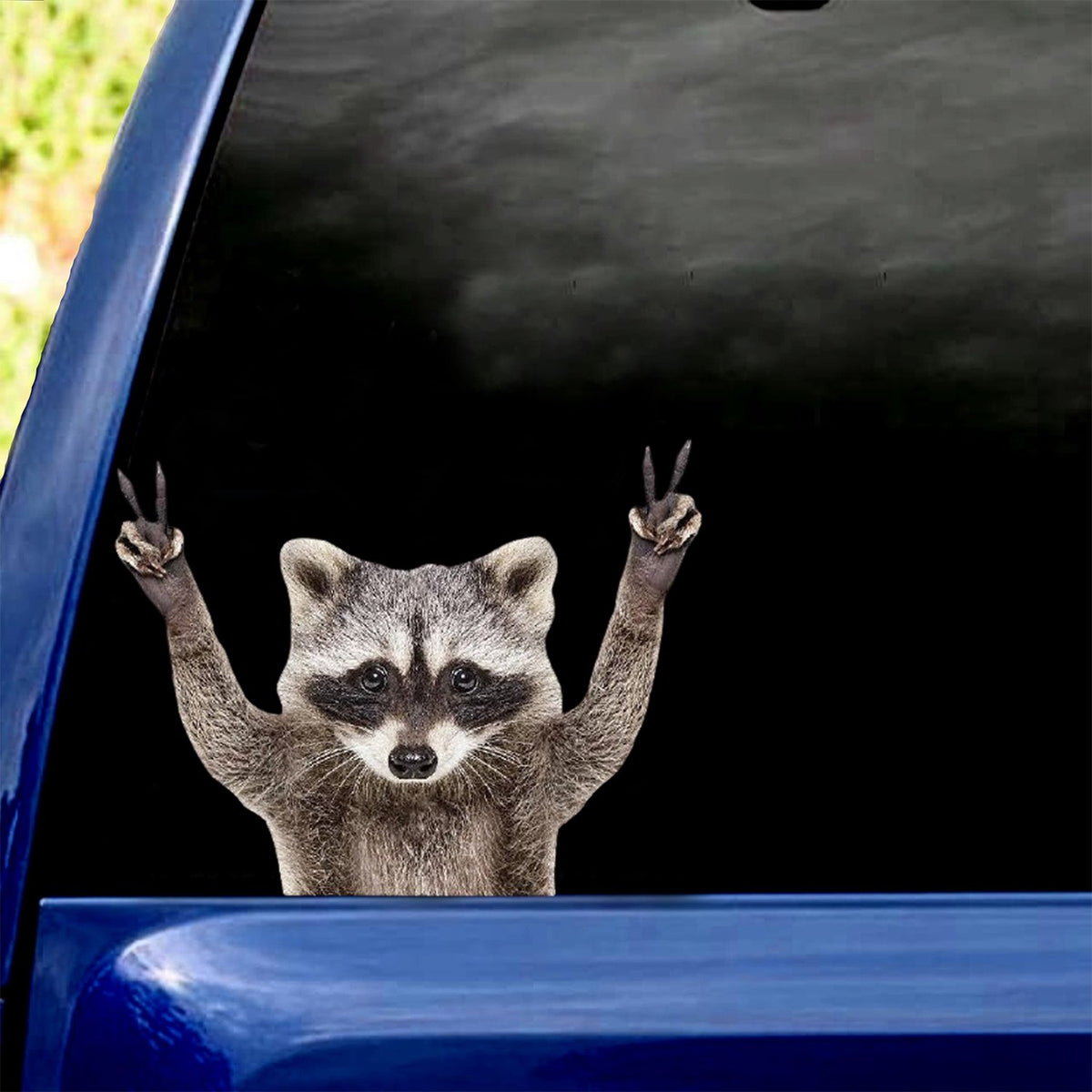 Racoon Peace Sign Car Sticker