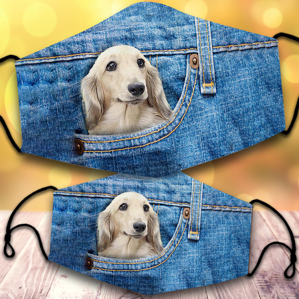 Long haired Dachshund-In Pocket-Veil