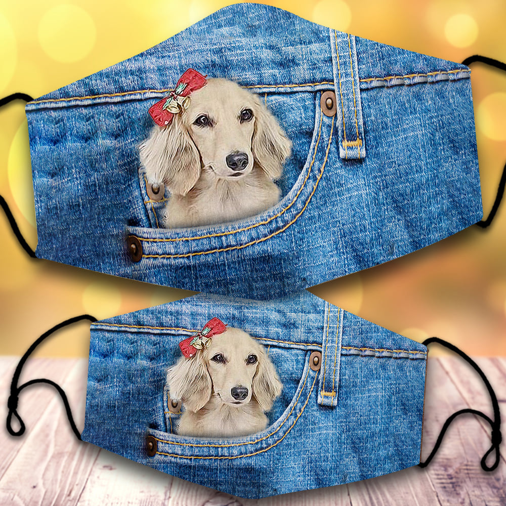 Long haired Dachshund1-In Pocket-Veil