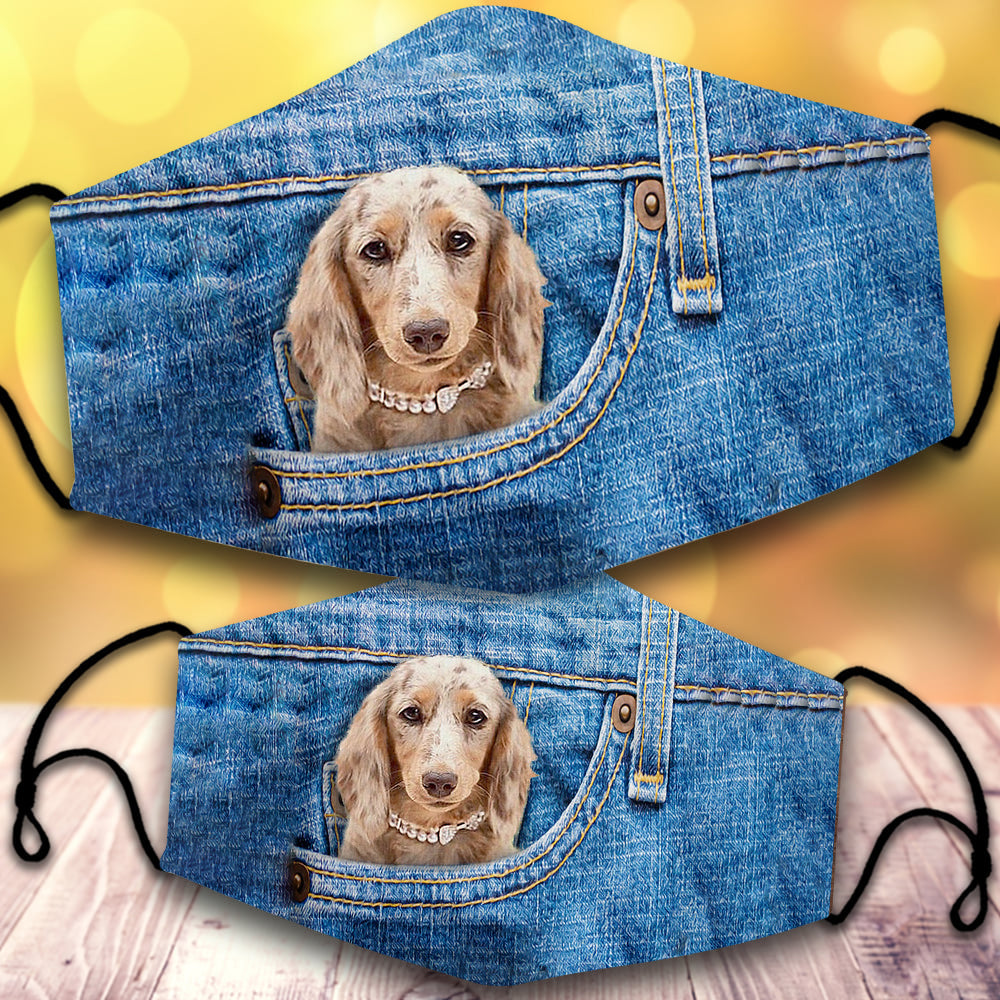 Long haired Dachshund2-In Pocket-Veil