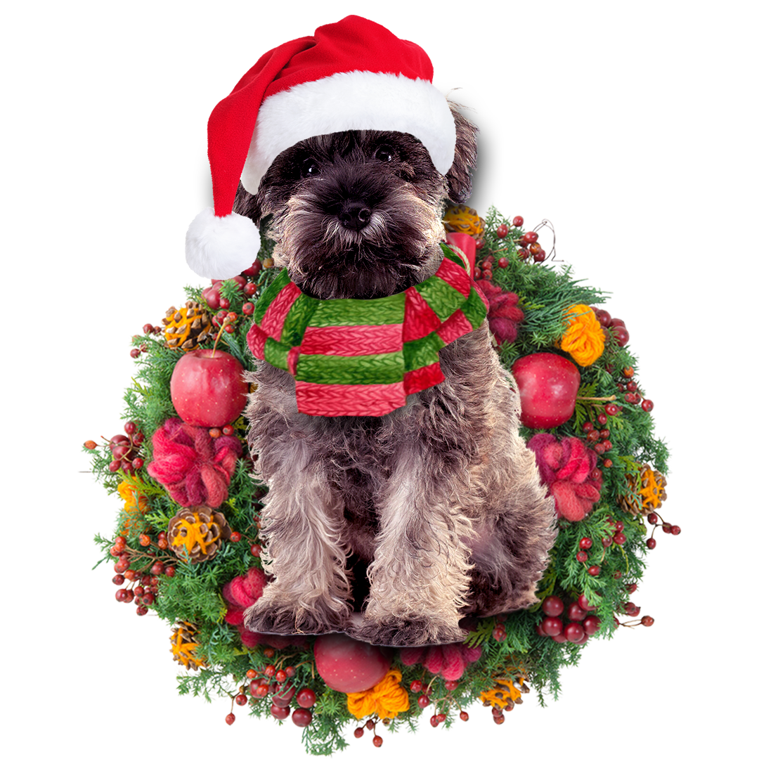 Miniature Schnauzer Christmas Ornament