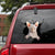 SPHYNX CAT STICKER CATS LOVER