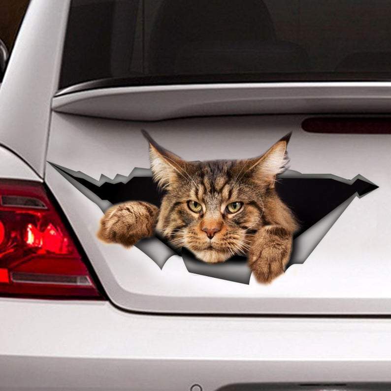 Maine Coon BMA770 car sticker