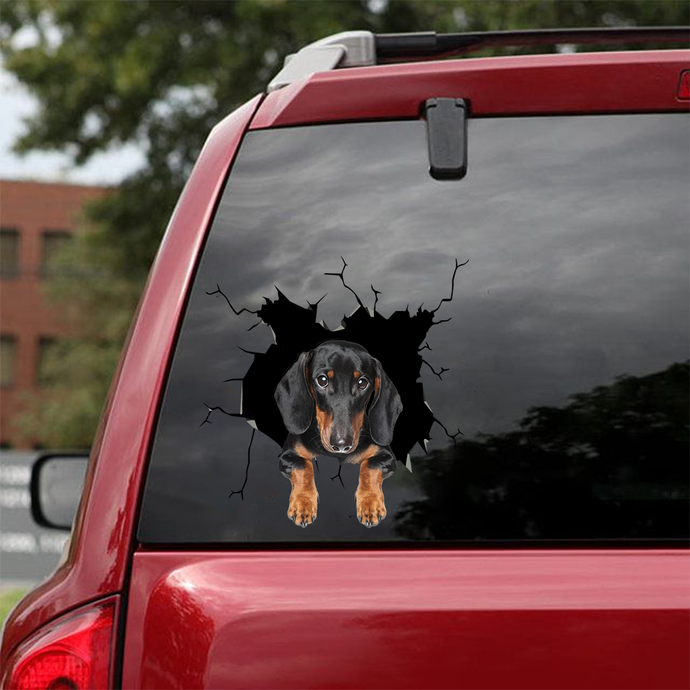 Dachshund Crack Car Sticker, Toilet Sticker, Fridge Sticker (58)