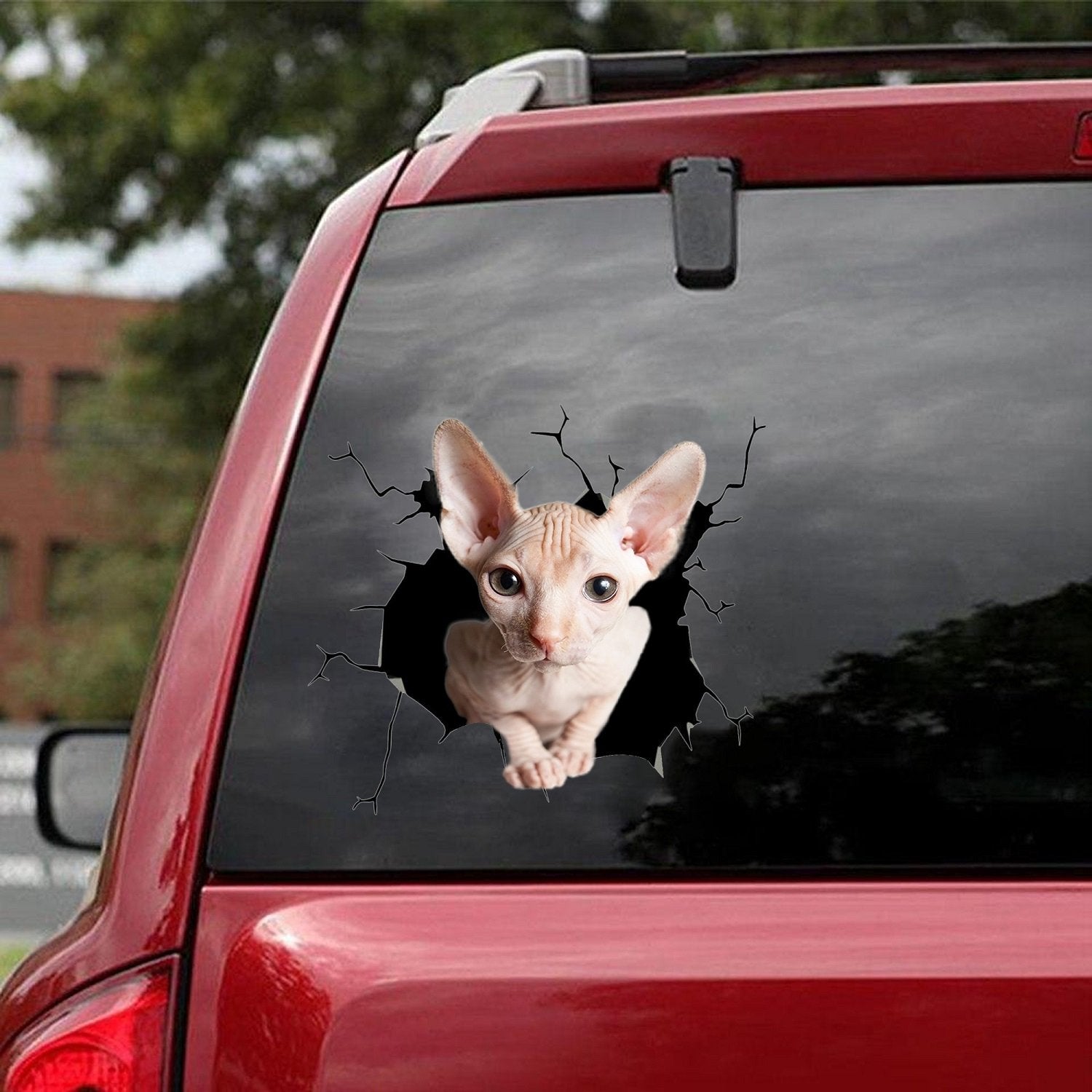 Sphynx Cat Car Sticker