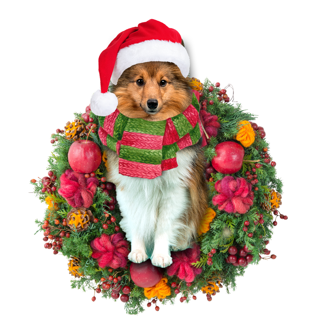 Sheltie Christmas Ornament