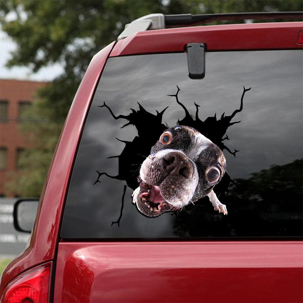 BOSTON TERRIER CRACK STICKER 13