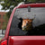 Horse Crack Car Sticker Cattle Lover (36)
