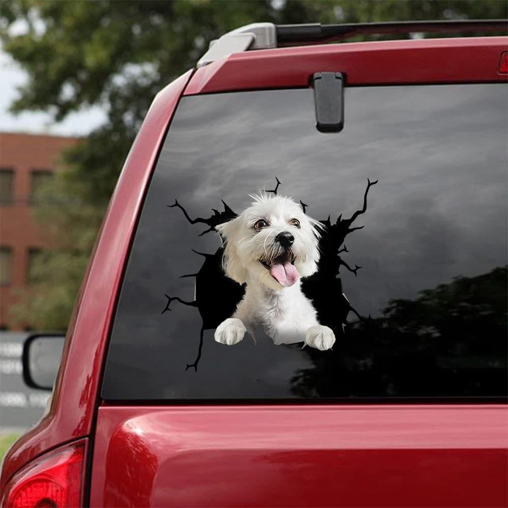 Maltese Crack Car Sticker, Toilet Sticker, Fridge Sticker 26