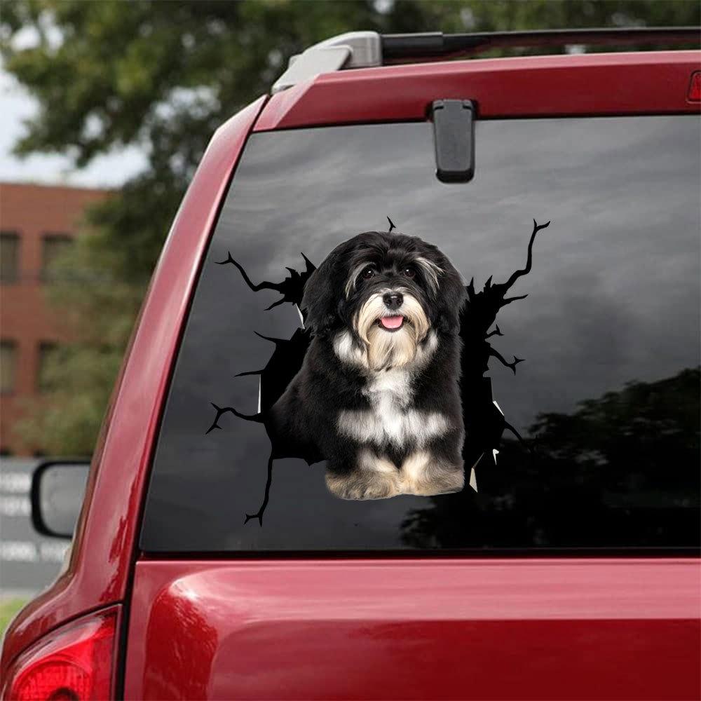 Havanese Crack Car Sticker, Toilet Sticker, Fridge Sticker 10