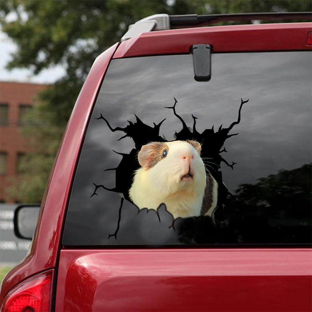 Guinea Pig Crack Car Sticker, Toilet Sticker, Fridge Sticker 3