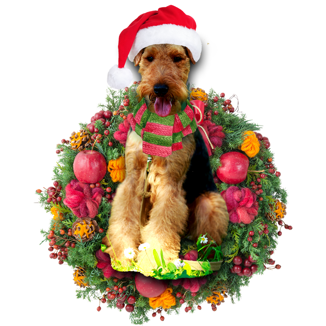 Welsh Terrier Christmas Ornament