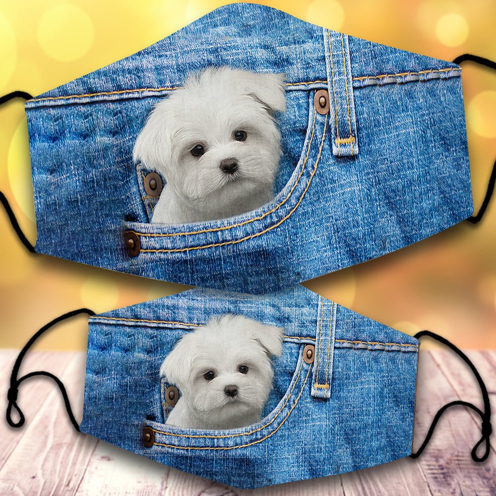 White Maltese-In Pocket-Veil