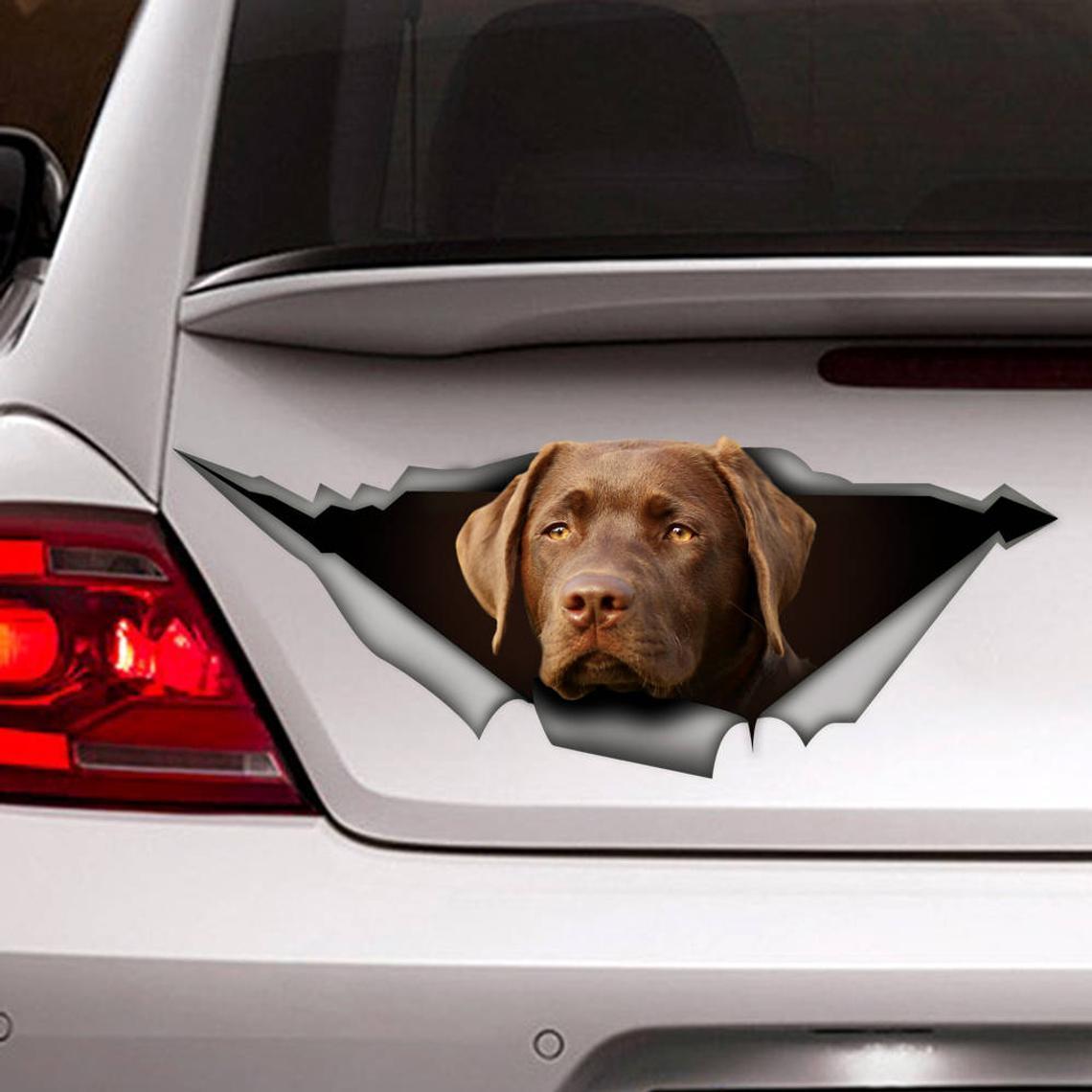 Сhocolate Labrador Car Sticker