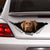 Сhocolate Labrador Car Sticker