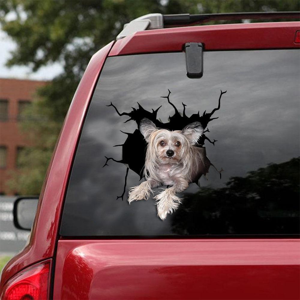 CHINESE CRESTED CRACK CAR STICKER 2